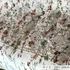_{300~N[|zz^ {^j[zCg }`Jo[200×200cm \t@Jo[ CXJo[WK2027-N2 GKg  AeB[N 킢 [sA