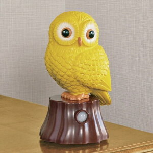 CeA u u 䂪Ƃ̕a31292 FL-3065 a31292 FL-3065  ZT[ m点 R̉ dC GAR Y ˒ Yꕨ ̌t