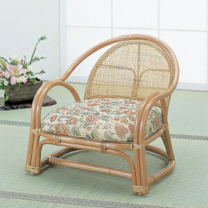 CXE`FA ֎q كA[`FA@[^Cv BL100BL100 i ^  ֎q  l| 1p֎q ^`FA Vv Rf VRf ىƋ ِ֎q 썑 ][g AWA