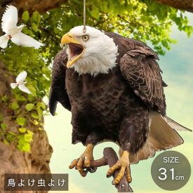 ガーデニング 農業 防鳥 防獣用品 その他 鳥よけ虫よけ リアル鷲 鳥よけ リアル鷲プリント 吊り下げ プレート 大きいサイズ 虫除け 虫よけ リアルプリント 鷹 ハトよけ ハト対策
