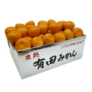 y肩炱Lc݂5kg┠iSESSTCYj