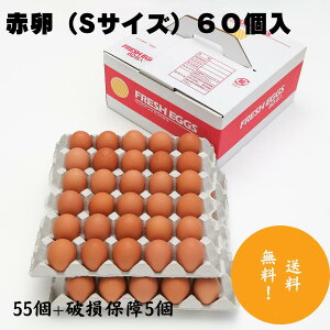ԋʎqSTCY60ʁ@55+jۏ5VN ̂ꂽ   ʎq ܂ ̓ hV̓ Mtg ʎq VN  Ri p ϔ