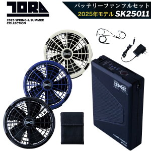 �Ј� �󒲕�R�X�^�[�^�[�L�b�g(25V) �y���ʌ���z SK25011