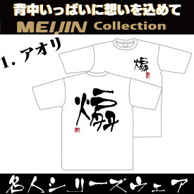 楽天市場 Tシャツ アオリイカの通販