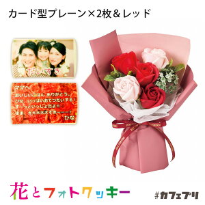 y99%OFFN[|zz421`zԂƂَq Zbg JtFv  XC[c NbL[ ʐ^ v[g bZ[W av[g XC[c NX}X Mtg  O A