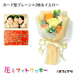 y|Cg2{zԂƂَq Zbg JtFv  XC[c NbL[ ʐ^ v[g bZ[W av[g XC[c NX}X Mtg  O ACVONbL[ 