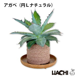 ySҌzϗtA A GPxA AKx {  ~j A ANAvg|bg 4 5 6 񂹐A 󂯎Mt Ă₷ Vzj JXj j a v[