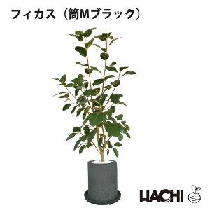 JXj ϗtA  ^ SҌ Iׂ pL tBJX I[u I[KX^ { A ANAvg|bg 5 6 7 j JƏj ړ]j 󂯎Mt Ă₷ v