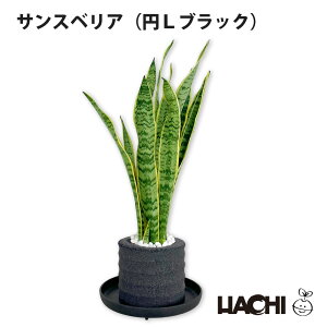 y99%OFFN[|zz421`zySҌzϗtA TXxA {  ~j A ANAvg|bg 3 4 5 6 ^ NX}X v[g [jJ nj[ 