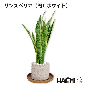 ySҌzϗtA TXxA {  ~j A ANAvg|bg 3 4 5 6 ^ NX}X v[g [jJ nj[ 󂯎Mt Ă₷ JXj Vzj