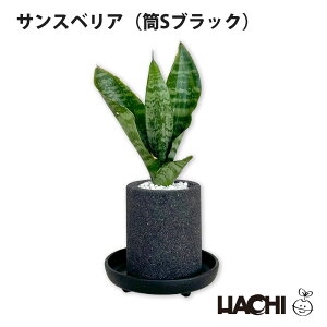 ySҌzϗtA pL KW} R[q[̖ TXxA Xe e[uV { Vzj JXj NX}X v[g ^  A ANAvg|bg 