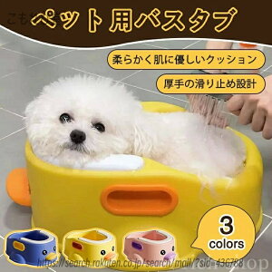 yzg[jO K 12 oX`FA oX^u ybg K􂤕֗ C֎q Ԃ xr[oX`FA