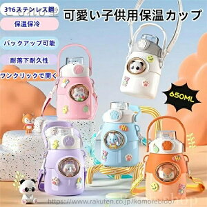 yzlbglC̐lCtBMA316XeXq@rۉۗJbvwBϗϋvۉۗLN^[wpX