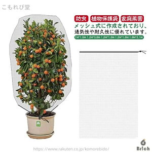 yzWbp[t hlbg Aی t@Xi[t ؍͔| |plbg  Ap hlbg AیJo[ x_ DIY ʎ ݂ ƒ؉