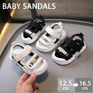 yzt@[XgV[Y ܐK[h xr[T_ p T_ LbY  xr[T_ 12.5cm V T_