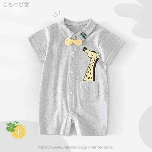 yzoYj 킢 _炩   OJ ĕ V Ԃ I[C ̎q j̎q  Jo[I[ p[X q xr[