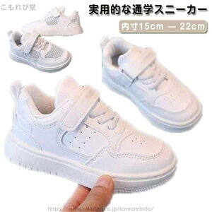 yz₷ Mtg ʊw ʉ ۈ牀  tďH~ ₷ ct j̎q w   a ^C y LbYC Ԃ V[Y Xj[J[ qC C WjA 