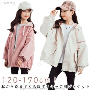 yzJWA K[Y u]  Wp[ h t[ht EBhu[J[ H  JWA qǂ  XvOR[g WbvAbv  tH X