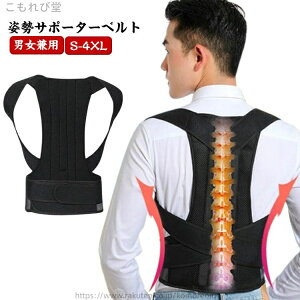 yzfB[X ObY pT|[^[  LwT|[^[ p Lwxg ˂w Y pxg Lw