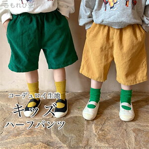 yzT}[pc q jp n[tpc R[fC ̎q j̎q Y{  V[gpc  LbY Chpc ܕ jZbNX