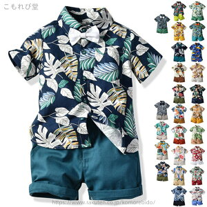 yzԂ xr[ ㉺Zbg ㉺ 2_Zbg ԕ  a ZbgAbv Vc ԕVc J LbY 