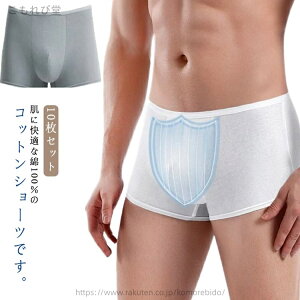 yzjp ĝĉ p Y ĝăV[c ʕ h Ɩ s  ĝă{NT[pc