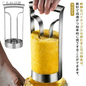 yzc pCibv pCibvp Lb`c[ pCibvc t[cc t[cc[ c pCibvJb^[ ƒp