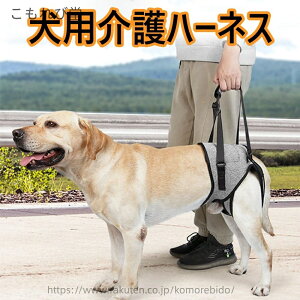 yzs⏕n[lX ⏕n[lX U s⏕ V 