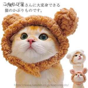 yzN} RX` L 蕨 ybgXq Xq Ԃ 