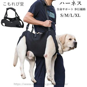 yzxXgn[lX ybg hCuxXgn[lX n[lX