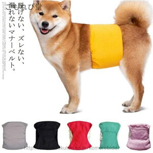 yzʗp ނJo[ }i[EFA j̎q }i[xg