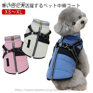 yzwJ WPbg h n[lX̌^ ~ g H~