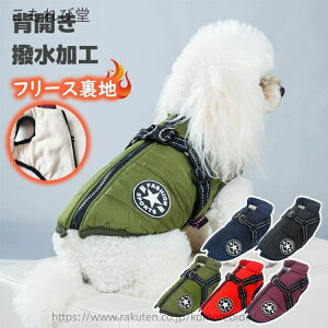 yz_E Wbp[ t@Xi[ n[lXt AE^[ WPbg ^Ngbv wJ H~ ̕ xXg EGA 