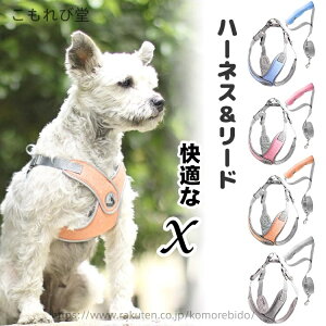 yzȂ ȒP K y o U [hZbg  [ht V ^ ^  Sy n[lX