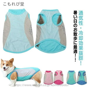 yz^ ĕ  y8XL-11XLz p u p ^Ngbv bV ⊴  Ђ y8XL-11XLz N[ G炷 