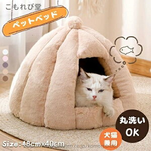 yzQ ybgpi ybgxbh ~p ~ h[^ xbh L h[ Lxbh LbgnEX LnEX  h[^ L