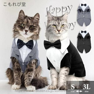 yzm RX`[    p[eB[ Be  ^LV[h X[c tH[} RXv  L 