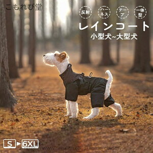 yzybg  ̃Jbp  Jbp ̃CR[g ^ ^ ^ CR[g CR[g p