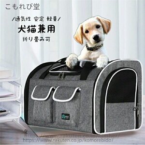 yz ʋC ό`Ȃ L[P[X Lp ʋC ܂݉ LC  L[ L[ LL[