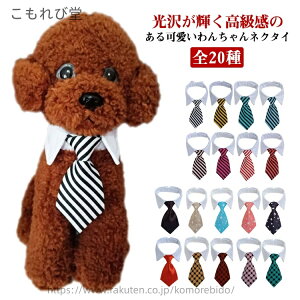 yz^ Lp Lp ANZT[ ʐ^Be  LO ˂ p  S20  lN^C ybgp {[_[