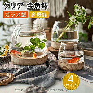 yz@\ KXԊ NAKX  | CeA ϗtA 琅   ی^ KX NA