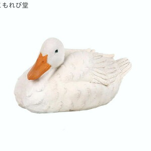 yz u (A) Aq AȉH K[fI[ig