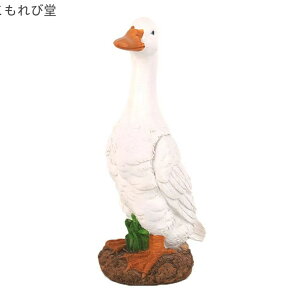 yz AȉH K[fI[ig u (C) Aq