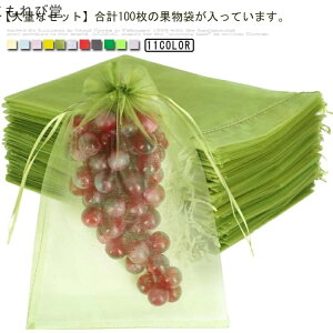 【送料無料】果実 光通過 保護ネット 防鳥 園芸ネット 保護 フルーツネット ネット 防虫 ネット 果物袋 果物保護ネット 巾着袋 防虫 野菜