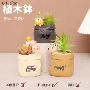 yz[ ObY K[fjO  e eE  킢 CeA u 񂹐A A T{e  