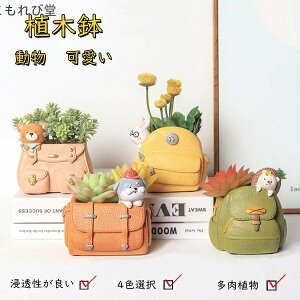 yz v^[ ~j T{e A t[v^[ A K[fjOIuWF 4color ̓ nlY~