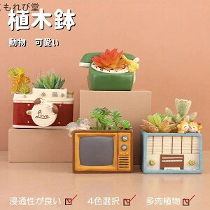 yzG ObY K[fjO  e eE  킢 CeA u 񂹐A A T{e  