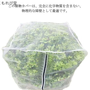 yz2m*2m*2m lbg h Q iC ʉ ʋC _Ɨp |H pr ɍ Q |؍͔|