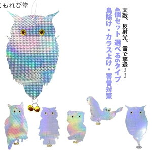 yz| x_ Q΍ ̃t΍ ŉ镗  LL Vo[ h ObY ΍ 悯 x  tNE