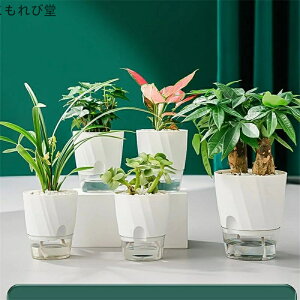 【送料無料】サボテン ハーブ 花植物 多肉 家庭植物 装飾 現代風 底面給水 観葉植物 水耕栽培 プラスチック製 ポット プランター 自己給水